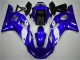 Branco Azul Carenagem & Plástico Yamaha R6 1998-2002 Branco Azul Carenagem & Plástico Yamaha R6 1998-2002