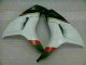 Branco Preto Carenagem Honda CBR 1000RR 2006-2007 Branco Preto Carenagem Honda CBR 1000RR 2006-2007
