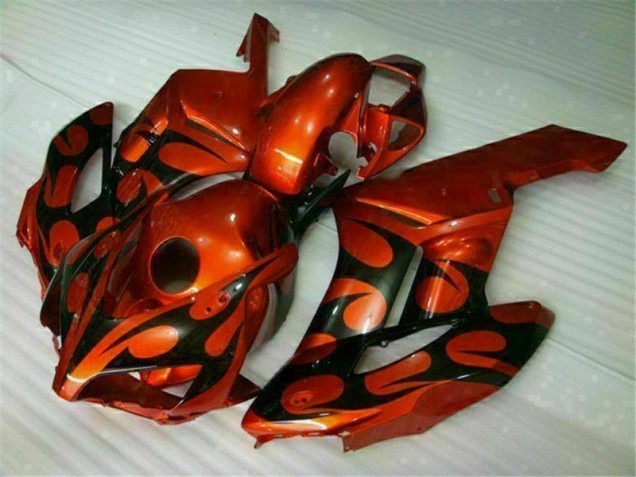 Castanho Preto Carenagem Honda CBR 1000RR 2004-2005