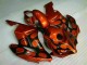 Castanho Preto Carenagem Honda CBR 1000RR 2004-2005