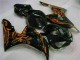 Castanho Preto Carenagem Honda CBR 1000RR 2006-2007
