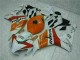 Laranja Branco Repsol Carenagem Honda CBR 1000RR 2004-2005 Laranja Branco Repsol Carenagem Honda CBR 1000RR 2004-2005