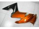 Laranja Carenagem Kawasaki EX650 2009-2011 Laranja Carenagem Kawasaki EX650 2009-2011