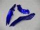 Carenagens Moto Kawasaki Ninja 300 EX300R 2013-2024 - Azul Preto Branco Chama
