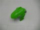 Carenagens Moto Kawasaki Ninja 300 EX300R 2013-2024 - Branco Verde Preto