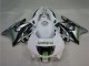 Carenagens Moto Honda CBR600 F3 1995-1996 - Branco Prata Verde Hannspree