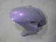 Carenagens Moto Honda CBR1000RR 2004-2005 - Camaleão Cinzento Dazz Roxo Pérola