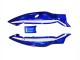 Carenagens Moto Yamaha YZF600R Thundercat 1996-2007 - Azul Branco Preto