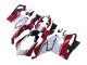 Carenagens Moto Ducati Panigale V4 V4S 2020-2021 - Branco Vermelho Verde Preto Fosco
