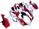 Carenagens Moto Ducati Panigale V4 V4S 2018-2019 - Branco Vermelho Verde Preto Brilhante