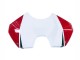 Carenagens Moto Ducati Panigale V4 V4S 2018-2019 - Branco Vermelho Verde Preto Brilhante