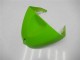 Carenagens Moto Kawasaki ZX6R 2005-2006 - Verde Preto Brilhante Elf