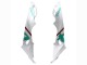 Carenagens Moto BMW S1000RR 2015-2016 - Branco Verde Preto