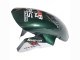 Carenagens Moto BMW S1000RR 2015-2016 - Branco Verde Preto