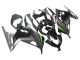 Carenagens Moto Kawasaki EX300 2013-2024 - Preto Brilhante Preto Fosco Verde