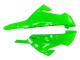 Carenagens Moto Kawasaki EX300 2013-2024 - Verde Prata Preto