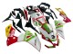 Carenagem Moto Aprilia RS4 50 125 2012-2018 - Branco Vermelho Verde Amarelo Alitalia