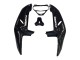 Carenagens Moto Honda CBR900RR 919 1998-1999 - Preto Brilhante Branco Decalques