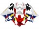 Carenagens Moto Honda CBR900RR 919 1998-1999 - Branco Vermelho Amarelo Azul