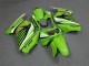 Carenagem Moto Kawasaki EX250 2008-2012 - Verde Branco Preto