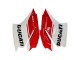 Carenagens Moto Ducati 1299 2015-2020 - Branco Vermelho Verde Preto Fosco