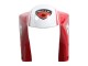 Carenagens Moto Ducati 748/916/996/998 1993-2005 - Branco Vermelho Amarelo Verde Preto Brilhante Performance