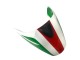 Carenagem Moto Ducati Monster 696 796 1100 1100S 2008-2012 - Branco Vermelho Verde