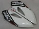 Carenagens Moto Honda CBR1000RR 2004-2005 - Branco Azul Vermelho Preto Brilhante Estrela Carrera Lee