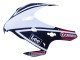 Carenagens Moto Honda CBR1000RR 2008-2011 - Branco Vermelho Azul Preto Star Lee Carrera
