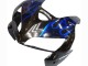 Carenagem Moto Honda CBR600RR 2005-2006 - Preto Brilhante Azul Chama