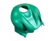 Carenagem Moto Honda CBR600RR 2007-2008 - Verde Preto Brilhante