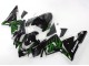 Carenagens Moto Kawasaki ZX10R 2004-2005 - Preto Verde Chama Ninja
