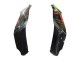 Carenagens Moto Kawasaki ZX10R 2021-2025 - Verde Preto Vermelho