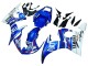 Carenagens Moto Yamaha YZF 600 R6 2005 - Azul Branco Vermelho Motul Michelin Fiat