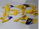 Carenagens Moto Yamaha YZF 600 R6 2008-2016 - Amarelo Azul Camelo Motul Michelin