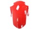 Carenagens Moto Honda CBR250RR 2011-2015 - Branco Vermelho Azul Claro