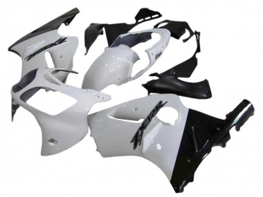 Carenagens Moto Kawasaki ZX12R 2000-2001 - Branco Preto Brilhante