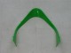 Carenagens Moto Kawasaki ZX9R 2000-2001 - Verde Prata Preto
