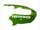 Carenagens Moto Kawasaki ZX9R 2000-2001 - Verde Chama