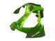 Carenagens Moto Kawasaki ZX9R 2000-2001 - Verde Chama