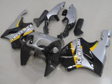 Prata & Preto Carenagem Kawasaki ZX9R 2000-2001