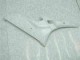 Sem Pintura Abs Carenagem Yamaha R6 2006-2007 Sem Pintura Abs Carenagem Yamaha R6 2006-2007