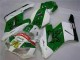 Verde Branco Carenagem Honda CBR 1000RR 2004-2005 Verde Branco Carenagem Honda CBR 1000RR 2004-2005