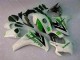 Verde Branco Carenagem Honda CBR 1000RR 2008-2011 Verde Branco Carenagem Honda CBR 1000RR 2008-2011