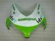 Verde Branco Kits Completo Carenagem Honda CBR 1000RR 2008-2011 Verde Branco Kits Completo Carenagem Honda CBR 1000RR 2008-2011