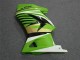 Verde Branco Preto Ninja Carenagem Kawasaki EX250 2008-2012 Verde Branco Preto Ninja Carenagem Kawasaki EX250 2008-2012