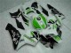 Verde Carroçaria Honda CBR 600RR 2005-2006 Verde Carroçaria Honda CBR 600RR 2005-2006