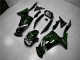 Verde Chama Carenagem Kawasaki EX650 2006-2008 Verde Chama Carenagem Kawasaki EX650 2006-2008