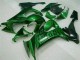 Verde Chama Carenagem Kawasaki ZX10R 2008-2010
