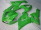 Verde Kits Completo Carenagem Kawasaki ZX6R 2005-2006 Verde Kits Completo Carenagem Kawasaki ZX6R 2005-2006